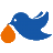 菜鳥裹裹