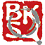 中國學(xué)術(shù)會(huì)議報(bào)道